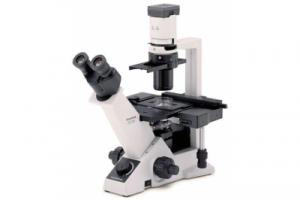 Микроскоп CKX31