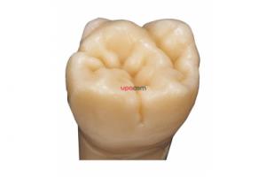 Коронковый воск твердый слоновая кость